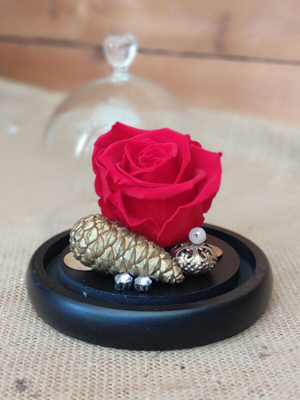 foreversnowqueenWeb5